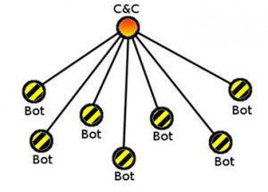 Botnet