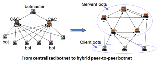 Botnet