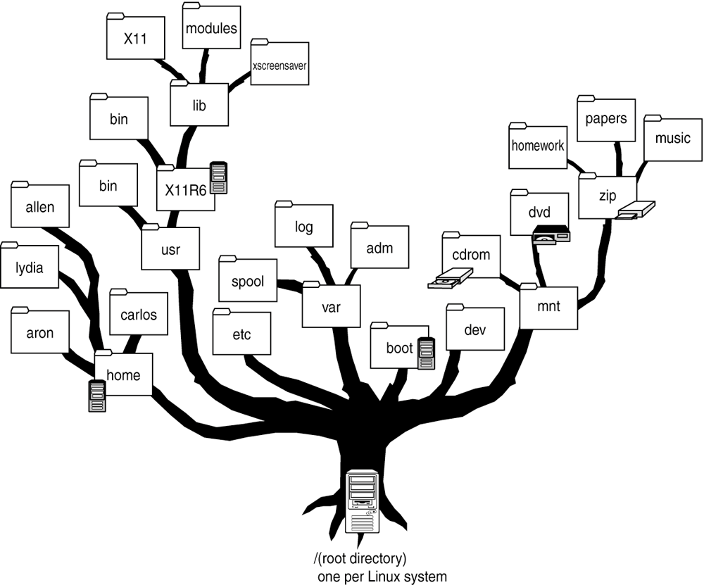 ساختـار دایرکتوری در سیستم عامل لینوکس
