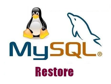 ریستور کردن فایل های حجیم دیتابیس MySQL