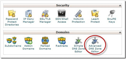 Advanced DNS Zone Editor