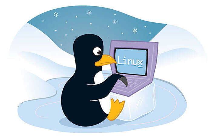 پرکاربردترین کامند های لینوکس (Linux Commands)